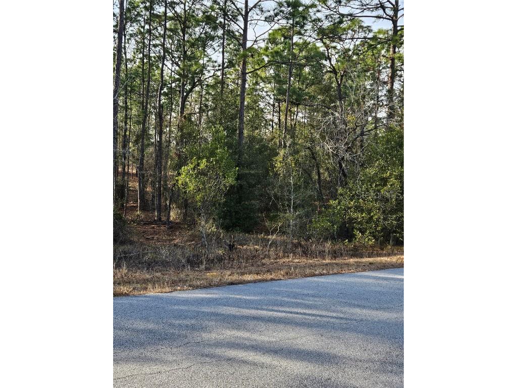 SW Admiral Landing Dr. Dunnellon FL 34431 OM693879 image2