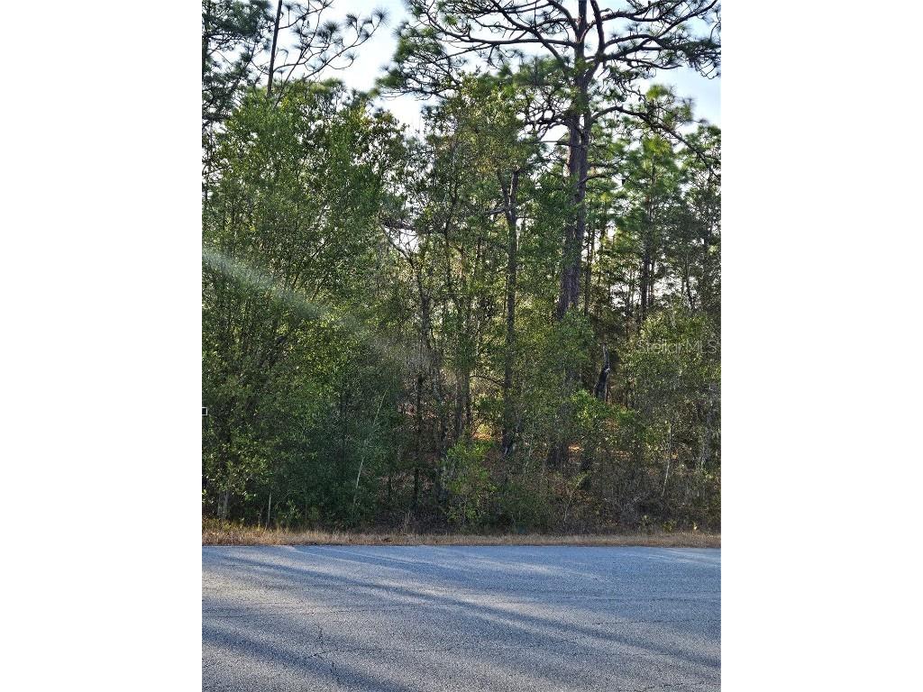 SW Admiral Landing Dr. Dunnellon FL 34431 OM693879 image3