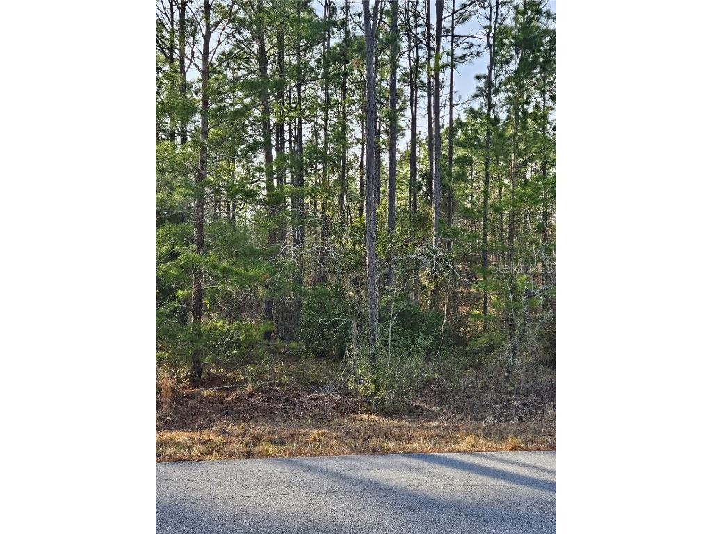 SW Admiral Landing Dr. Dunnellon FL 34431 OM693879 image4