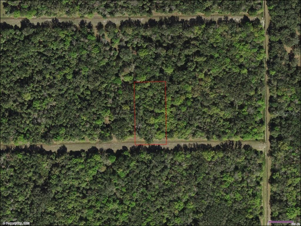 SW Adventure Way Arcadia FL 34266 C7484675 image1