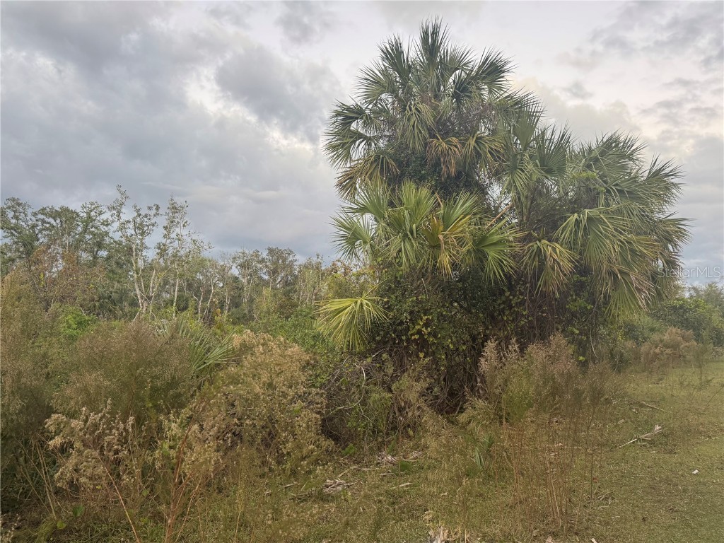 SW Adventure Way Arcadia FL 34266 C7501168 image1