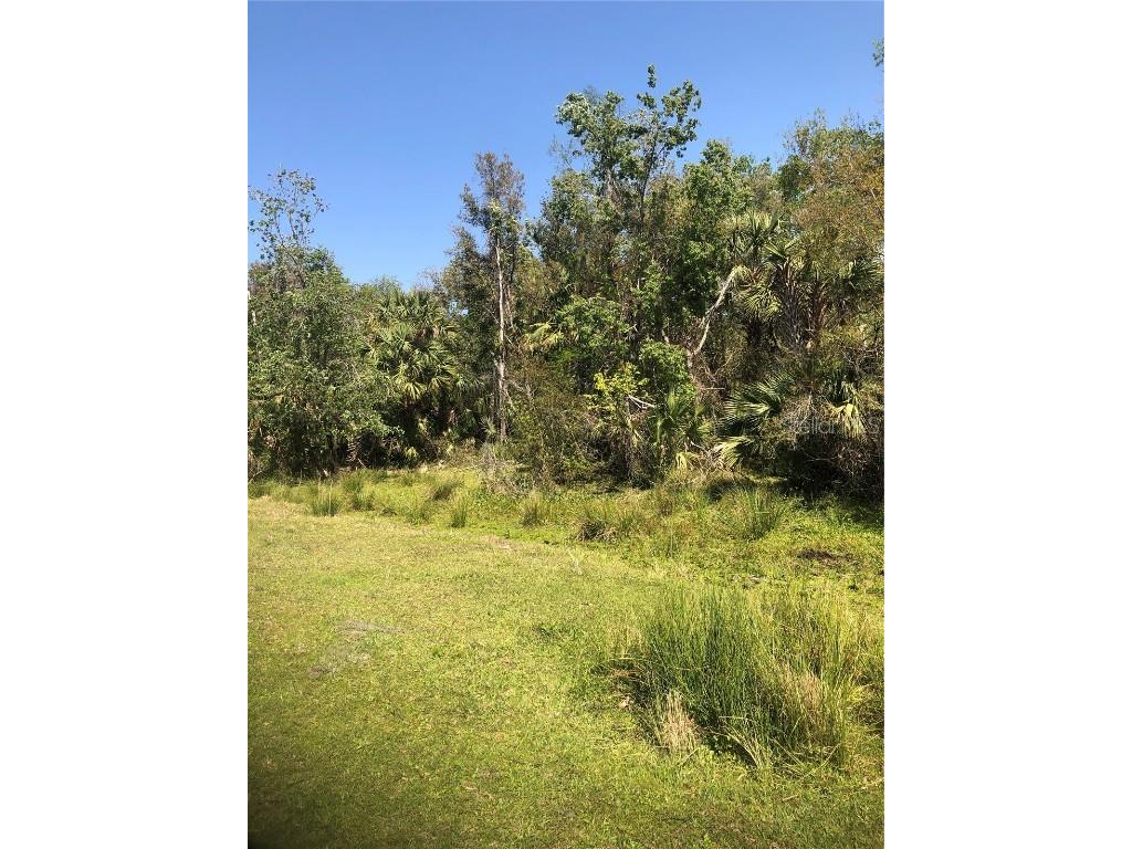 SW Adventure Way Arcadia FL 34266 D6141328 image1