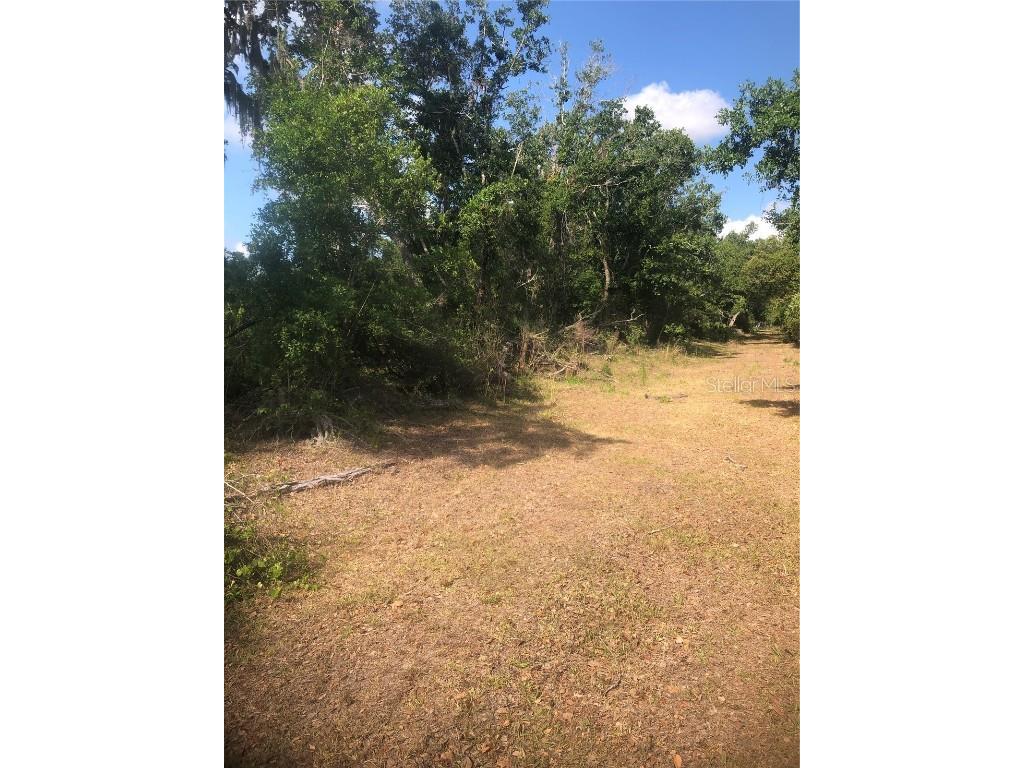 SW Adventure Way Arcadia FL 34266 D6142752 image1