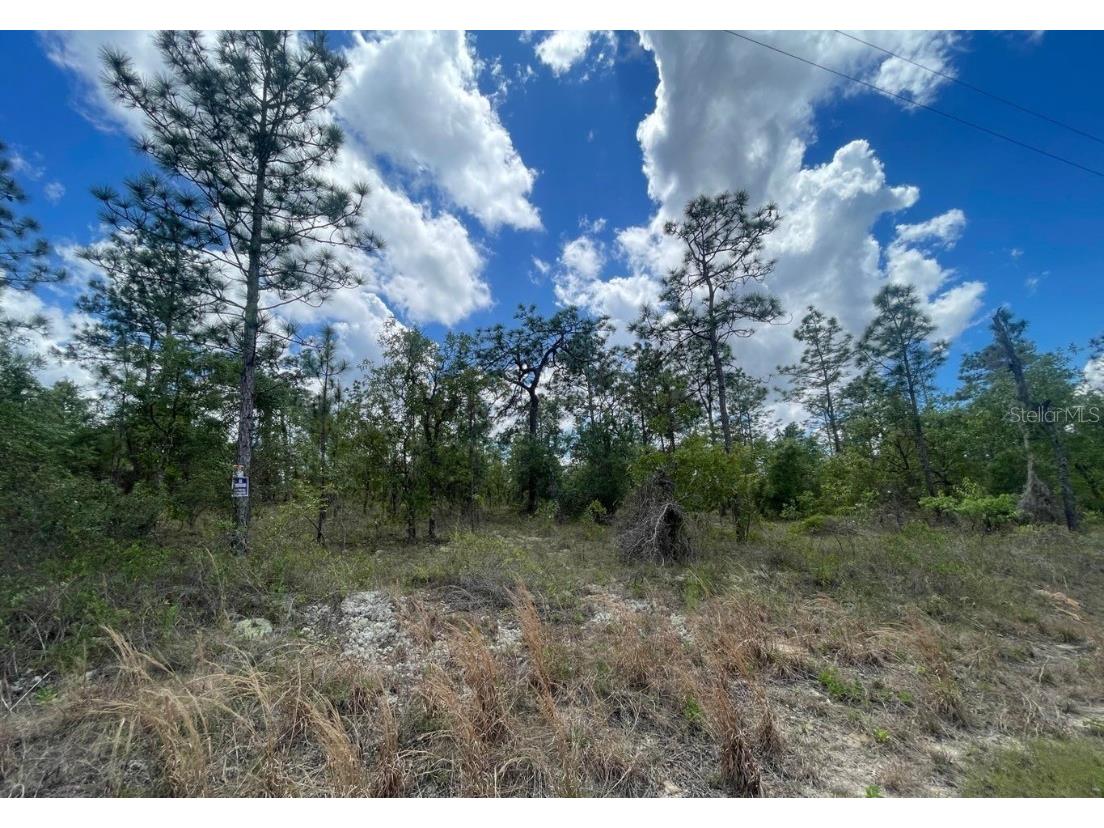 SW Anchor Boulevard Dunnellon FL 34431 V4930352 image1