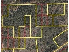 SW Archer Archer FL 32618 V4925573 image2