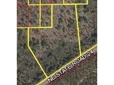 SW Archer Archer FL 32618 V4925573 image6