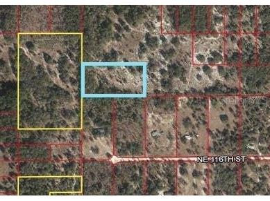 SW Archer Archer FL 32618 V4925573 image8