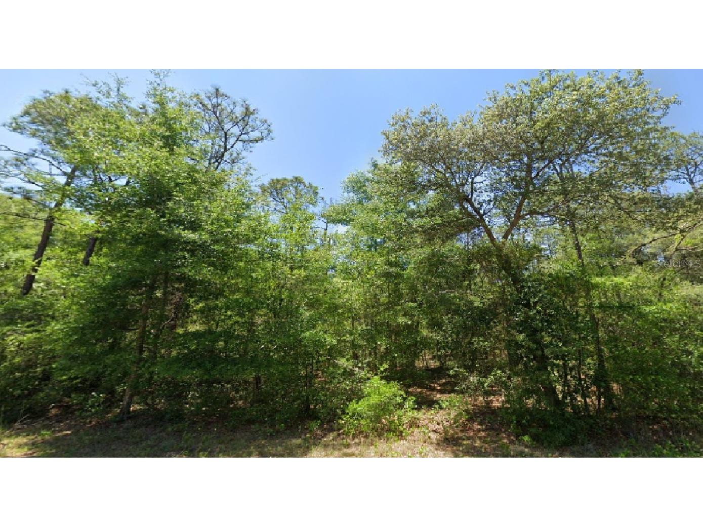 SW Arrow Leaf Trail Dunnellon FL 34431 O6144185 image1