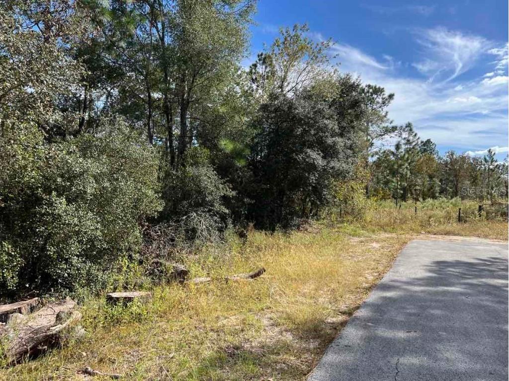 SW Azalea Court Dunnellon FL 34431 - Tiger Lake U8219363 image1