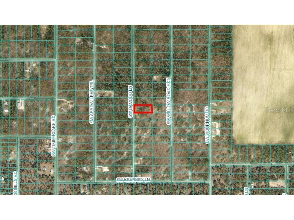 SW Bamboo Lane Dunnellon FL 34431 OM687628 image1