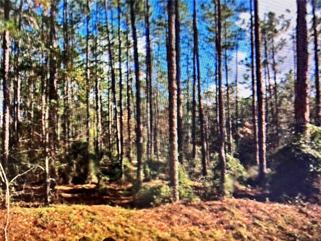 SW Barnacle Drive S #0 Dunnellon FL 34431 P4923984 image1