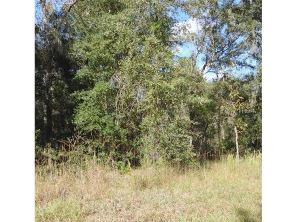 Sw Beach Blvd Dunnellon FL 34431 O6115916 image1