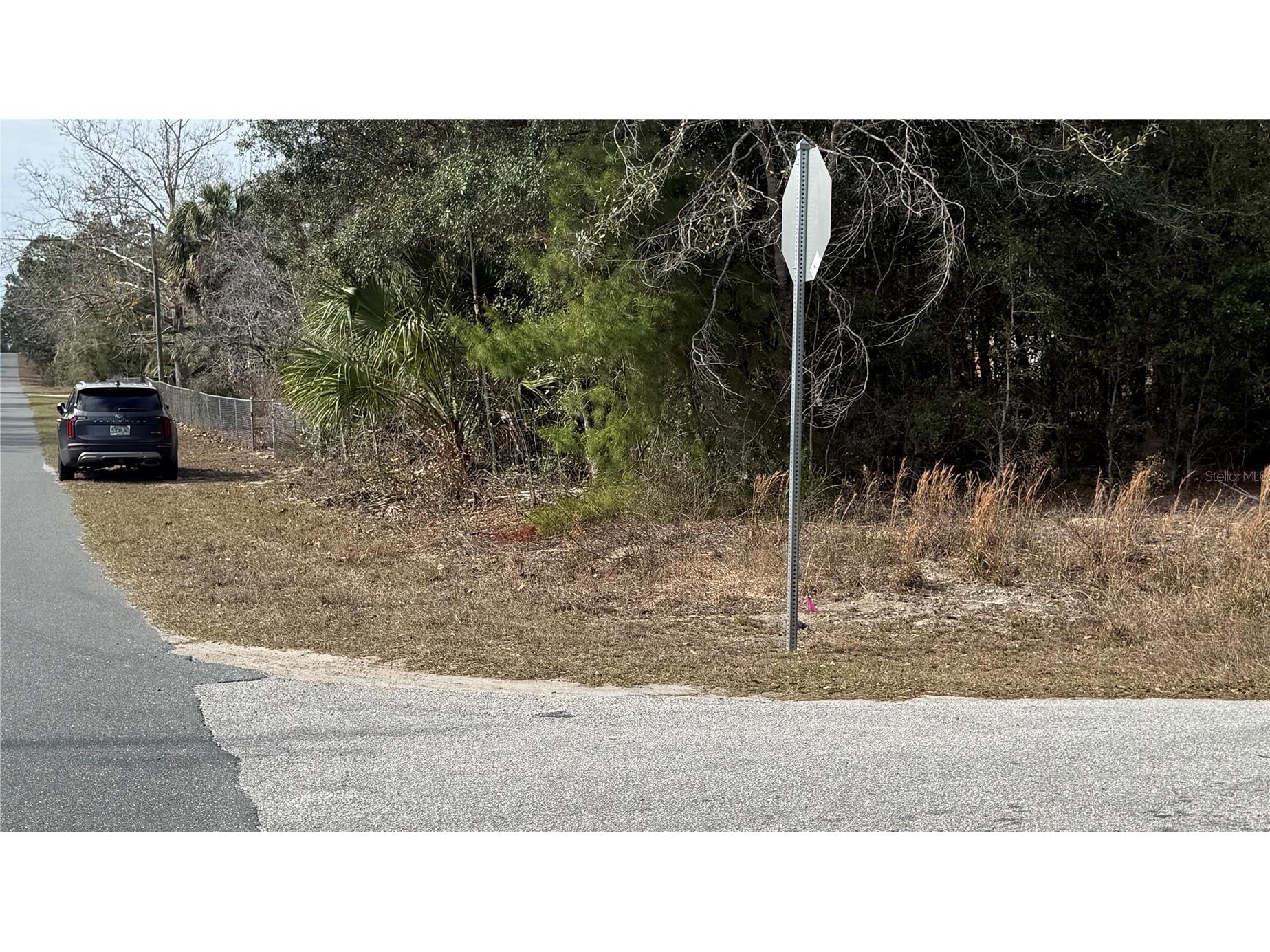 Sw Beach Blvd & Sw Portulaca Ct Dunnellon FL 34431 OM718441 image3