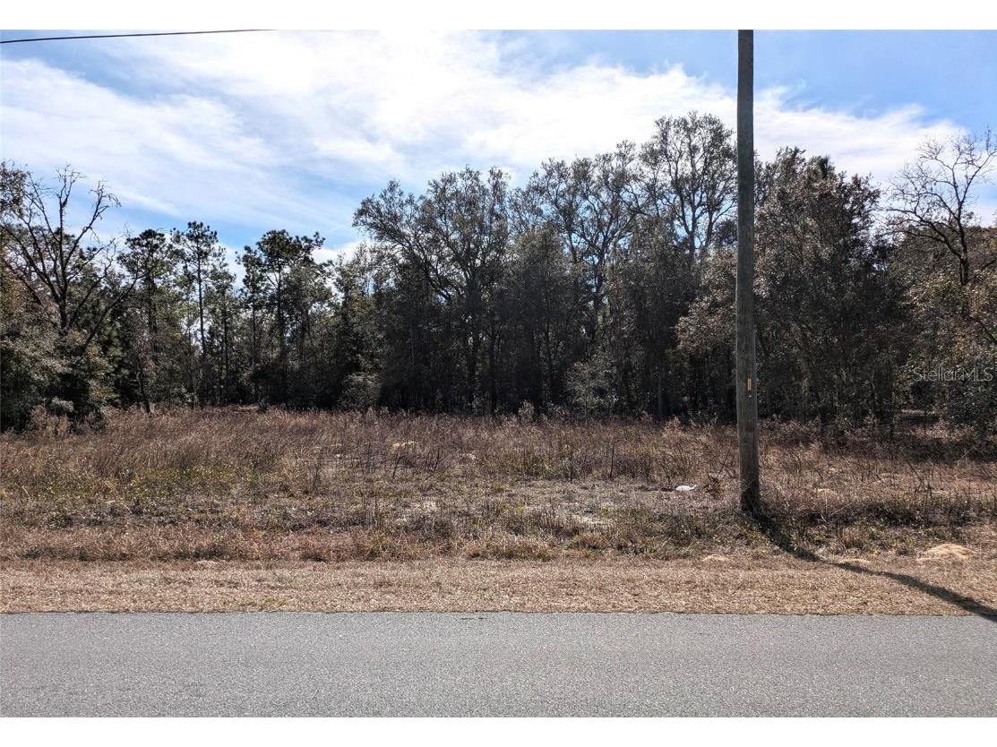 SW Beach Boulevard Dunnellon FL 34431 OM693922 image1