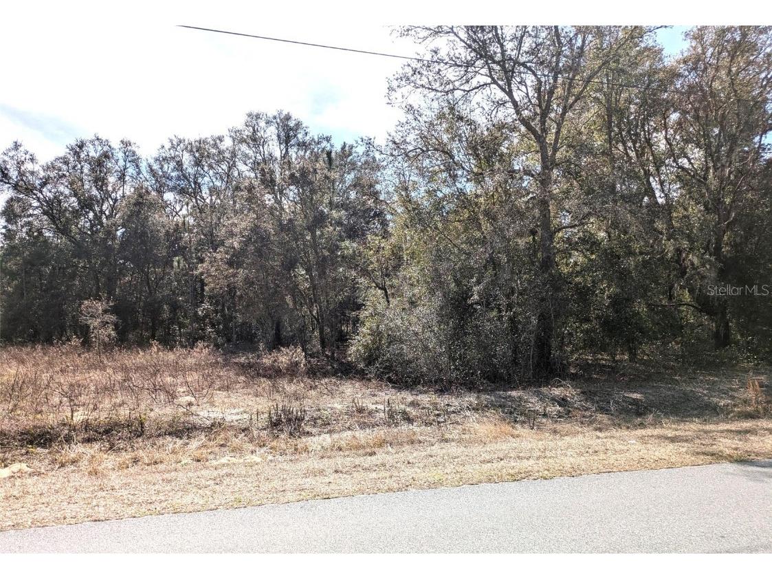SW Beach Boulevard Dunnellon FL 34431 OM693925 image1