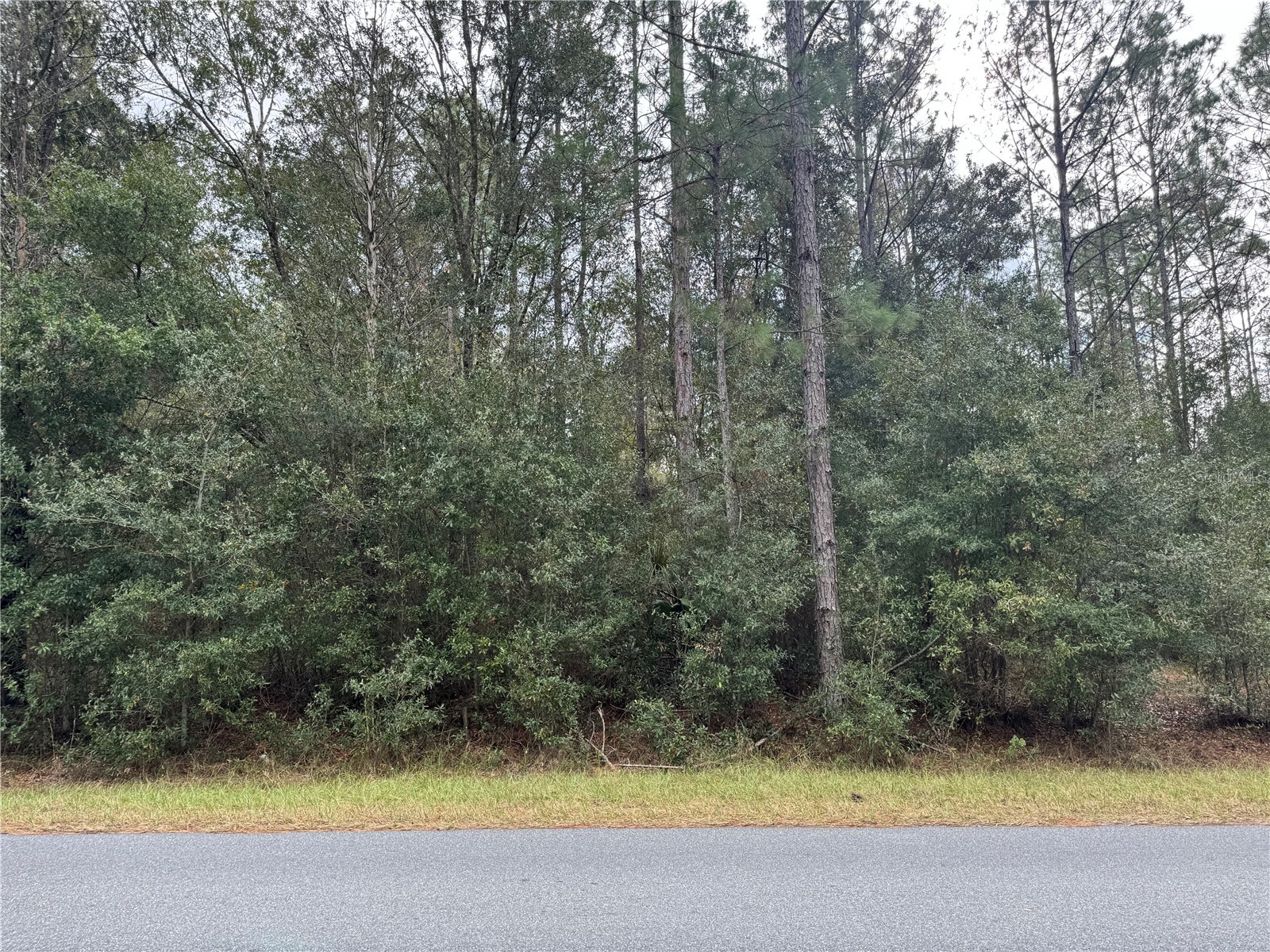 SW Beach Boulevard Dunnellon FL 34431 OM715298 image1