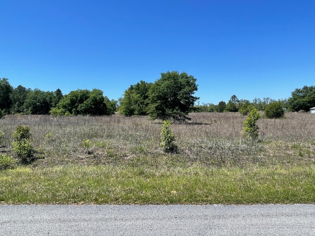 Sw Begonia Dunnellon FL 34431 O6237648 image1