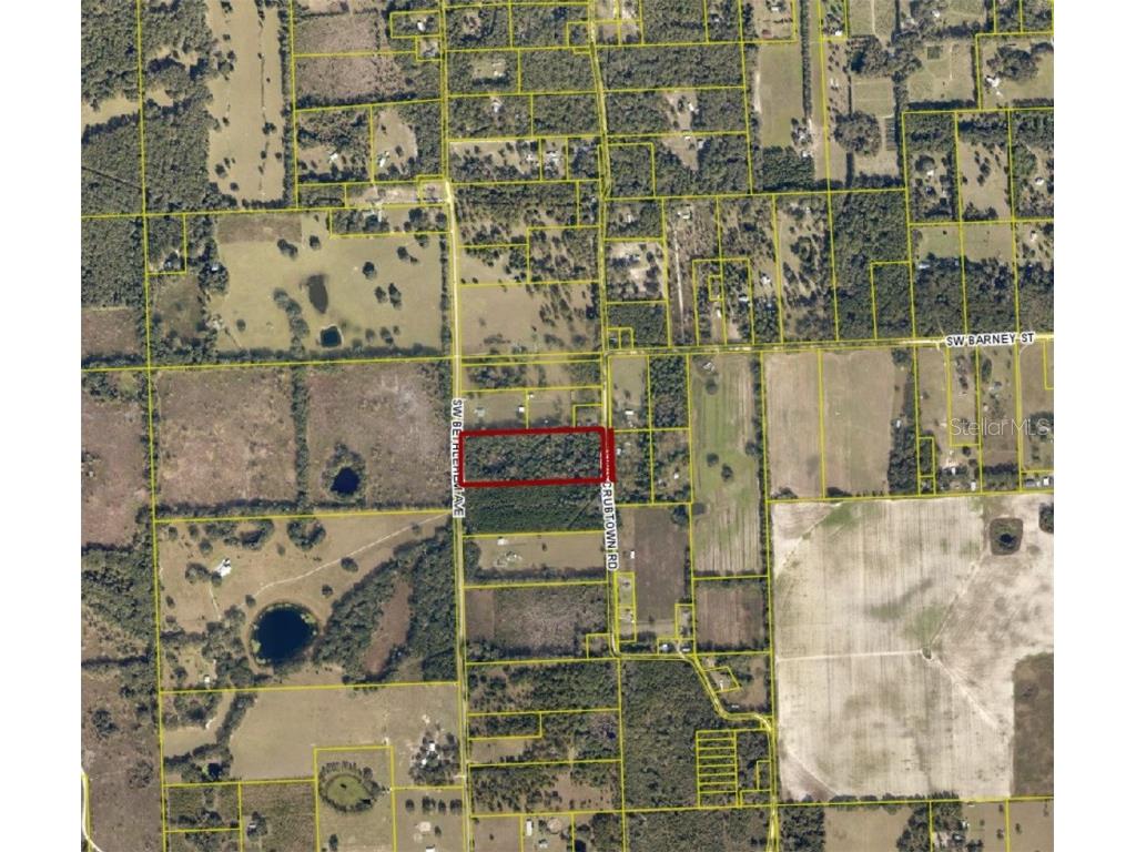 SW Bethlehem Avenue Fort White FL 32038 TB8396152 image12