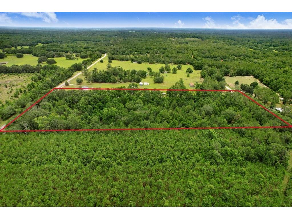 SW Bethlehem Avenue Fort White FL 32038 TB8396152 image2