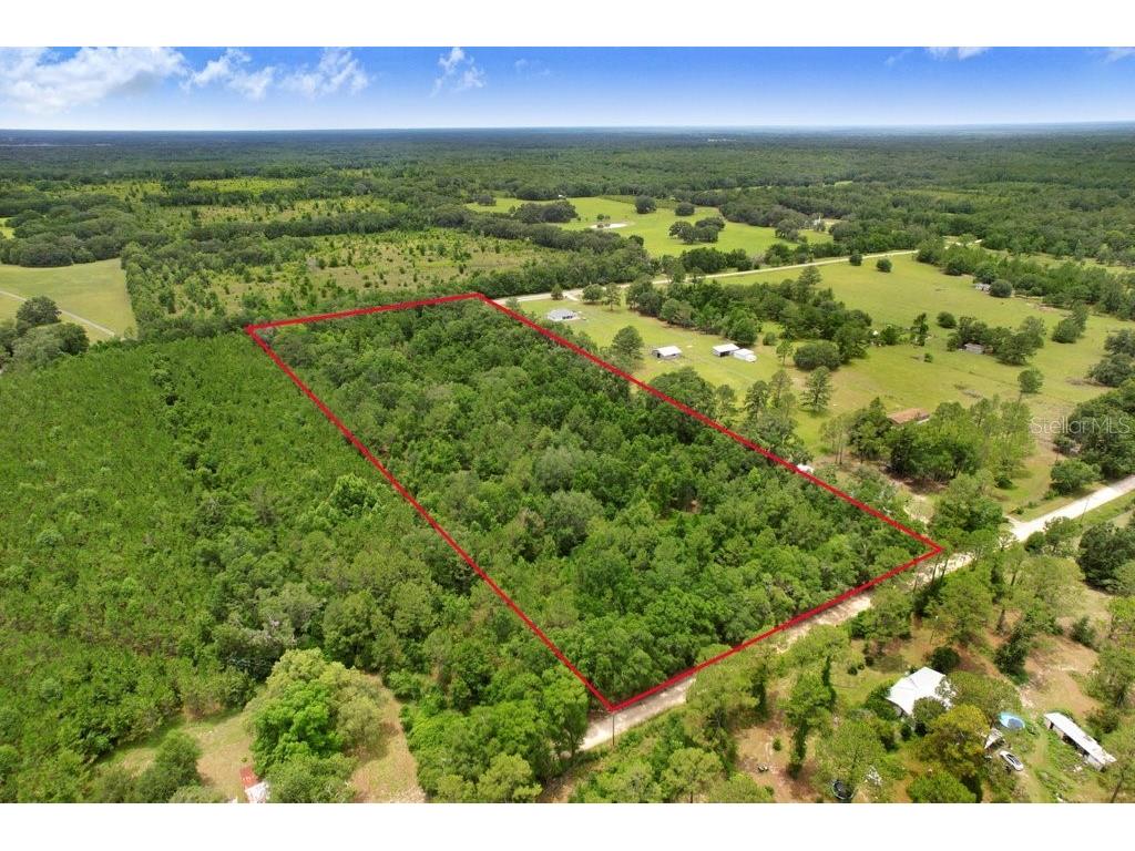 SW Bethlehem Avenue Fort White FL 32038 TB8396152 image4