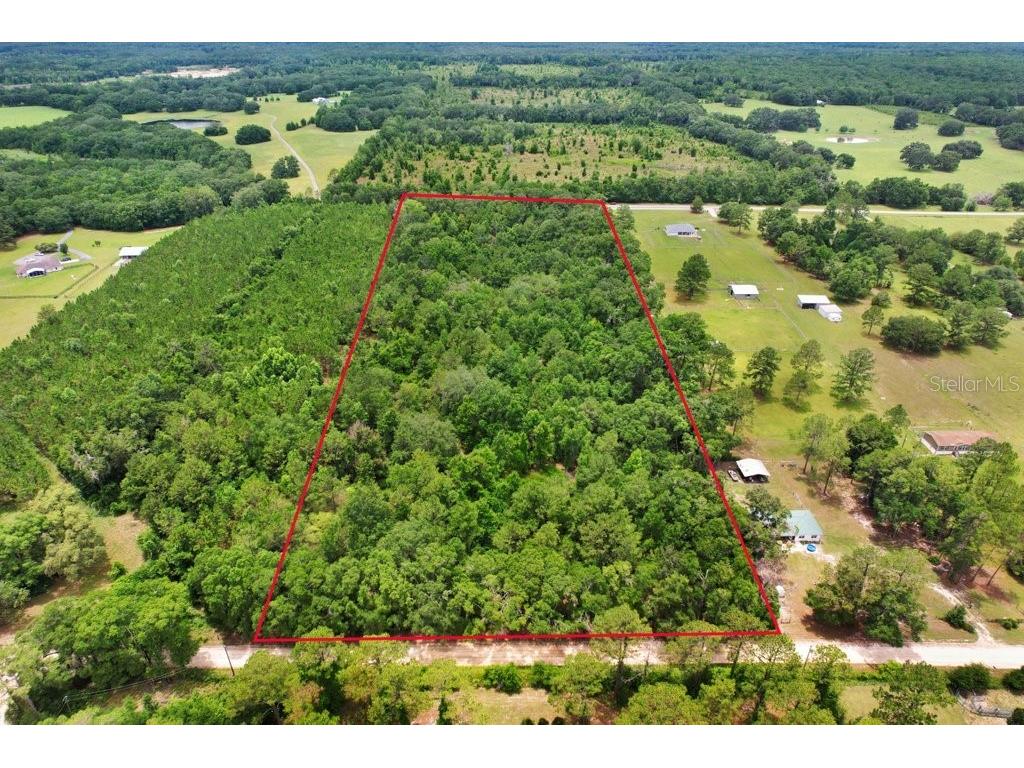 SW Bethlehem Avenue Fort White FL 32038 TB8396152 image7