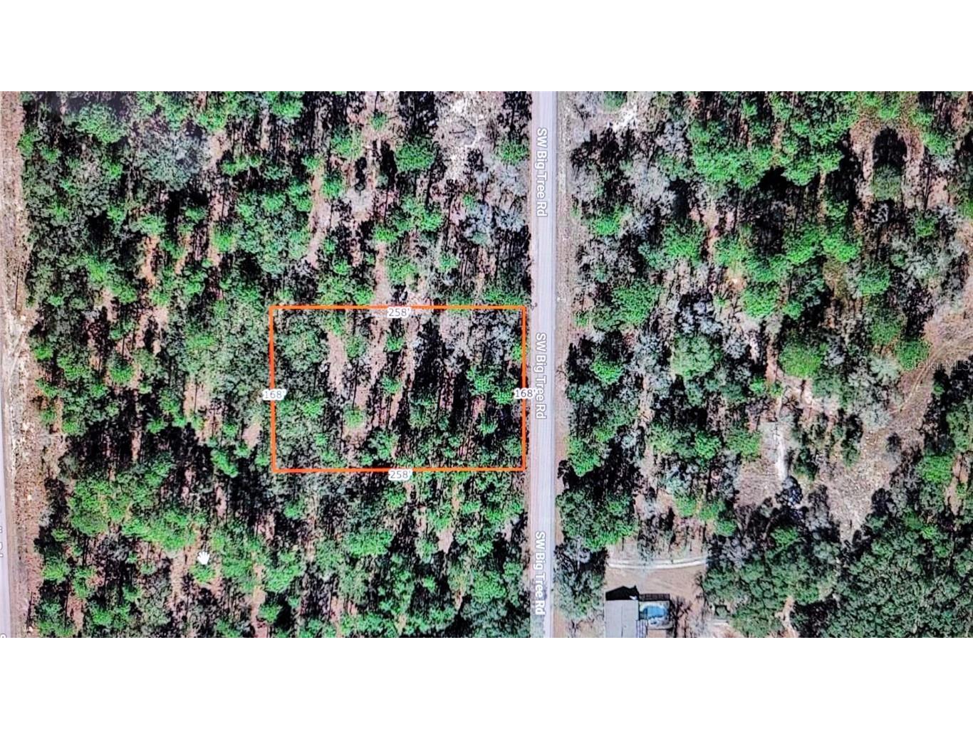 SW Big Tree Road Dunnellon FL 34431 C7467783 image1