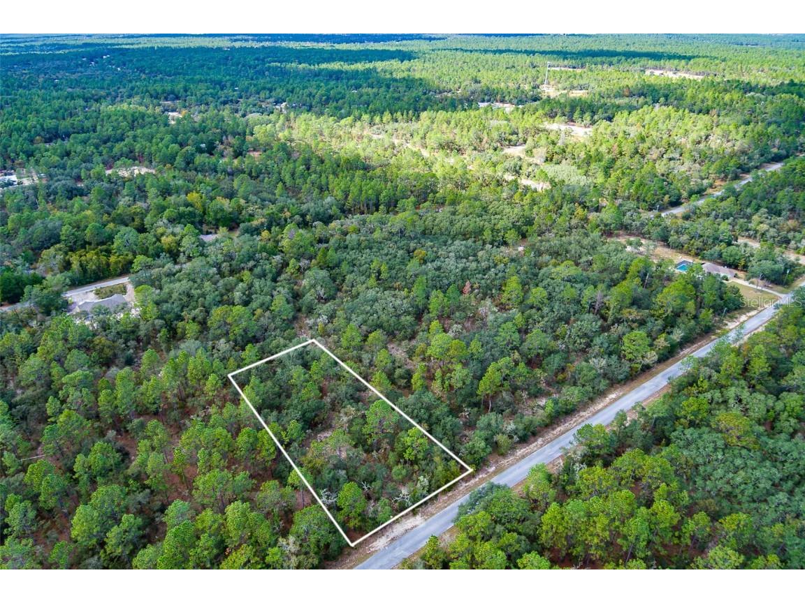 SW Big Tree Road Dunnellon FL 34431 O6244263 image1