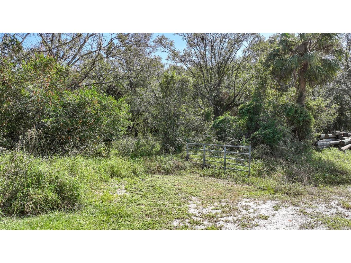 SW Bragdon Avenue Arcadia FL 34266 C7499288 image1