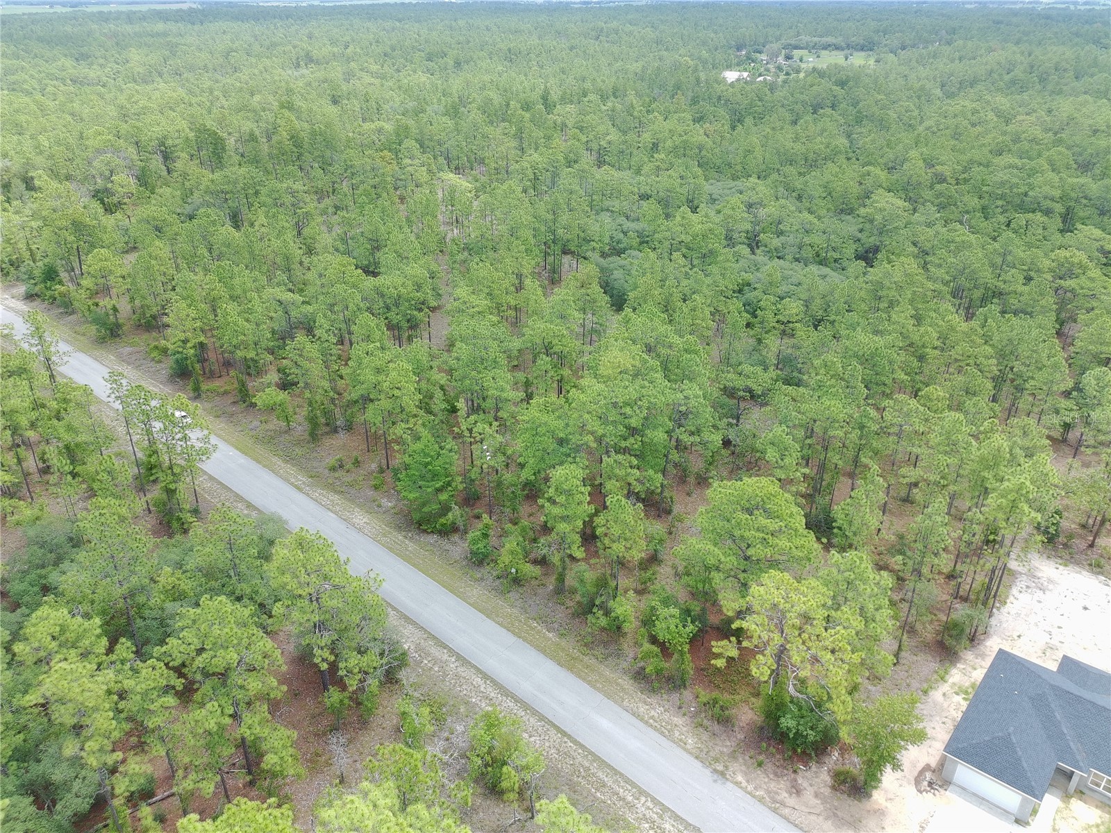 SW Buena Vista Road Dunnellon FL 34431 S5151074 image1