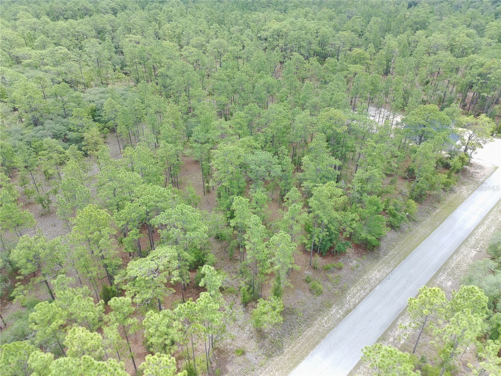 SW Buena Vista Road Dunnellon FL 34431 S5151074 image2