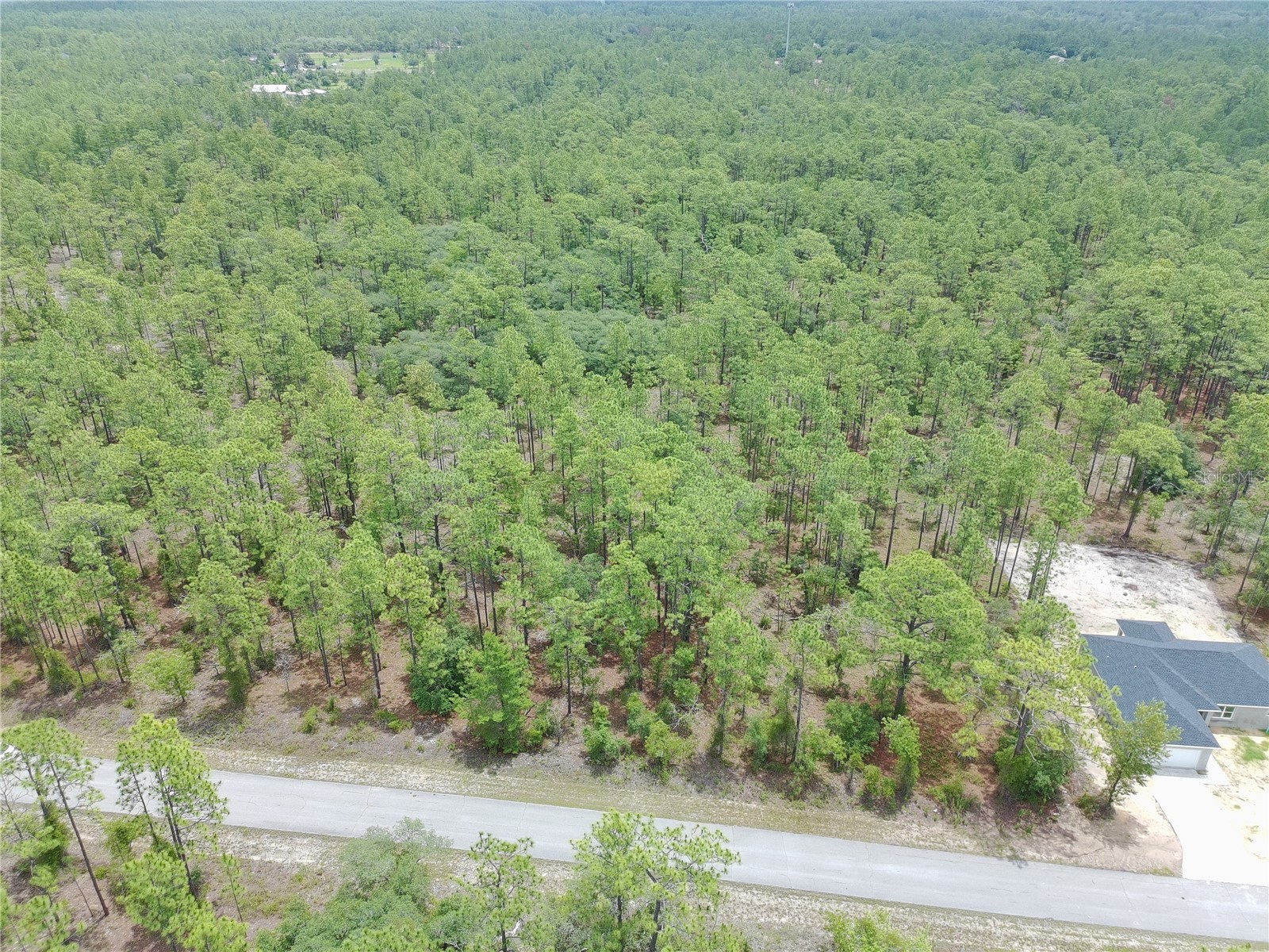 SW Buena Vista Road Dunnellon FL 34431 S5151074 image3