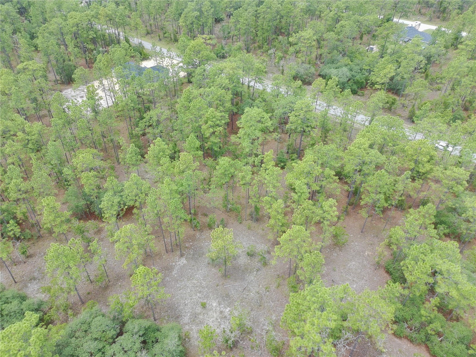 SW Buena Vista Road Dunnellon FL 34431 S5151074 image4