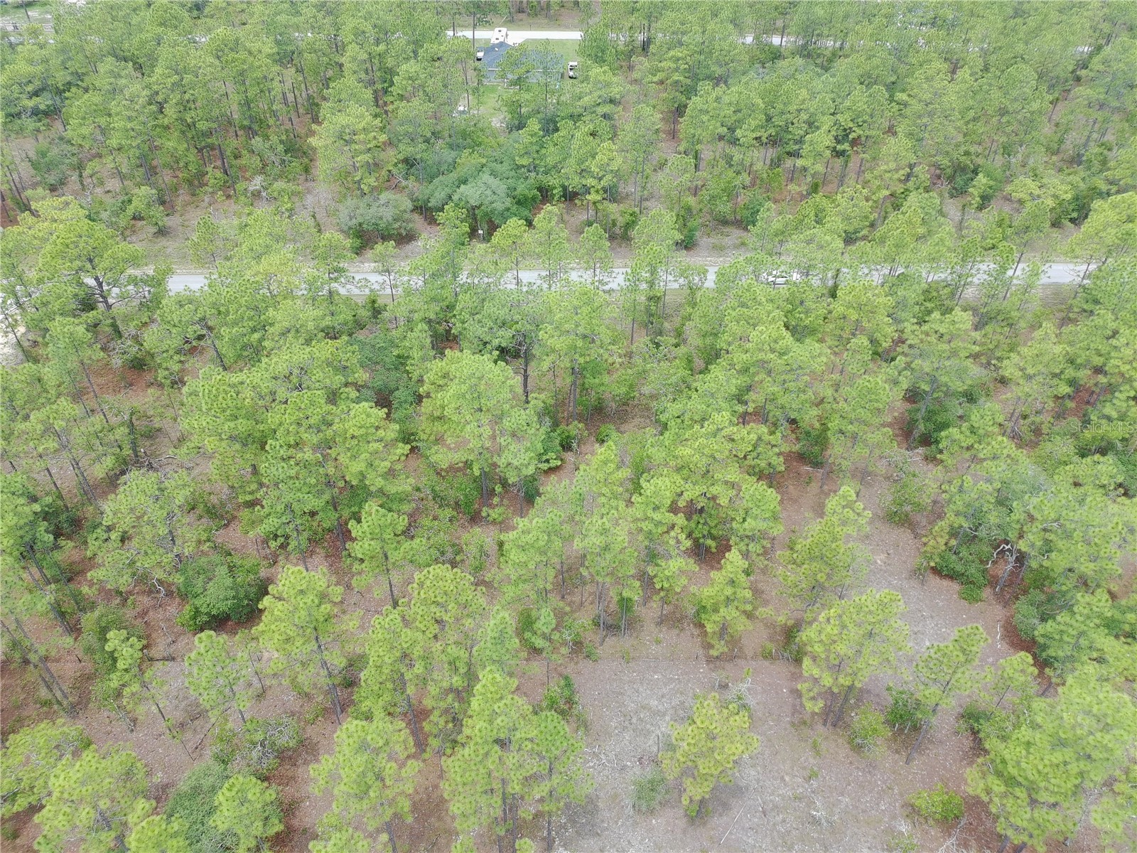 SW Buena Vista Road Dunnellon FL 34431 S5151074 image7