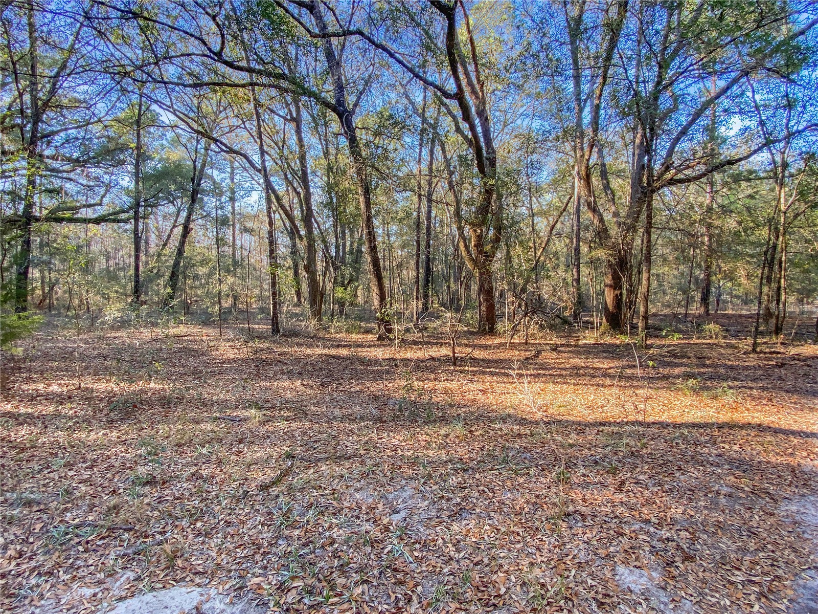 Sw Buffalo Ct Fort White FL 32038 GC538184 image1