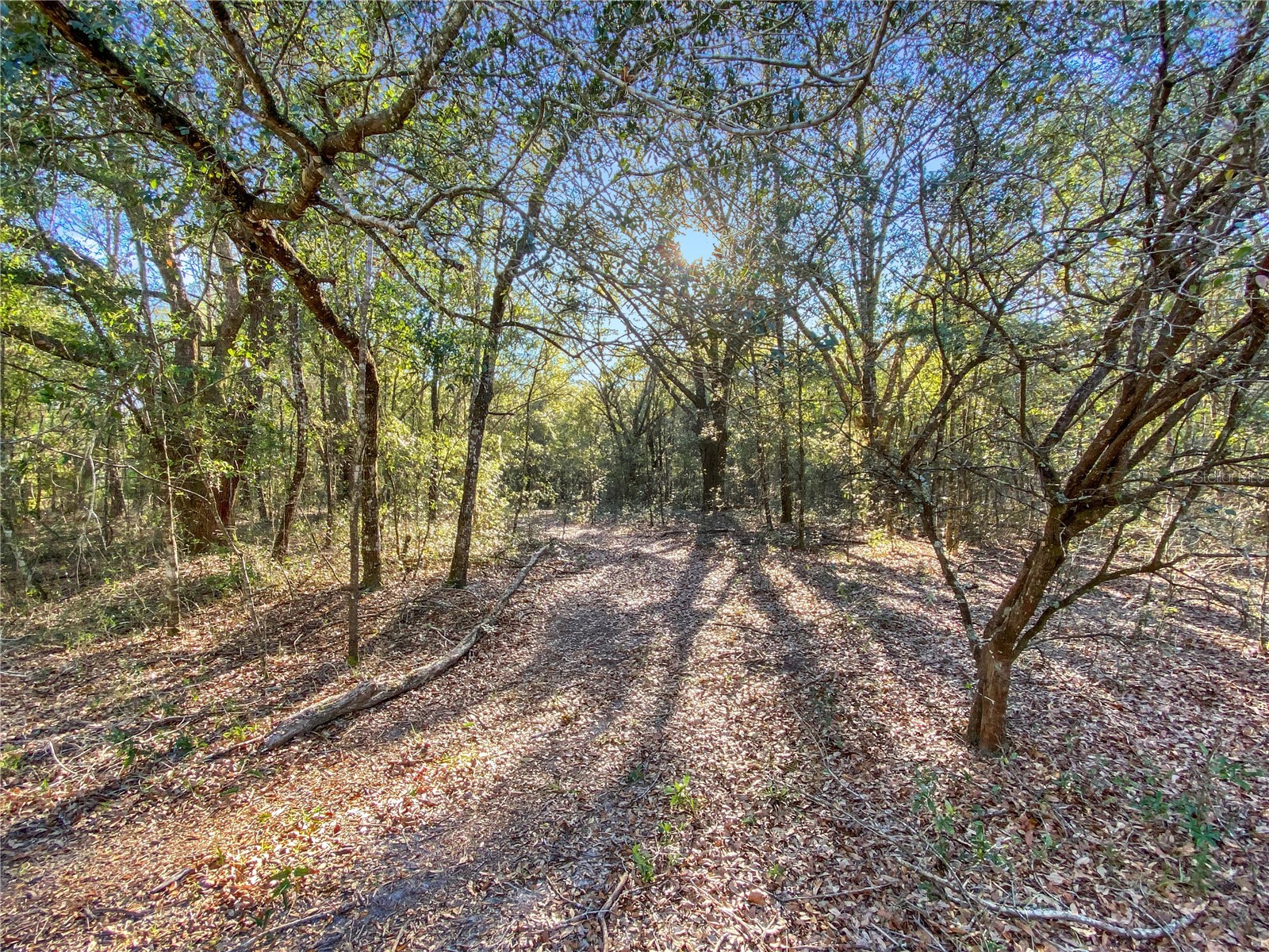 Sw Buffalo Ct Fort White FL 32038 GC538184 image3