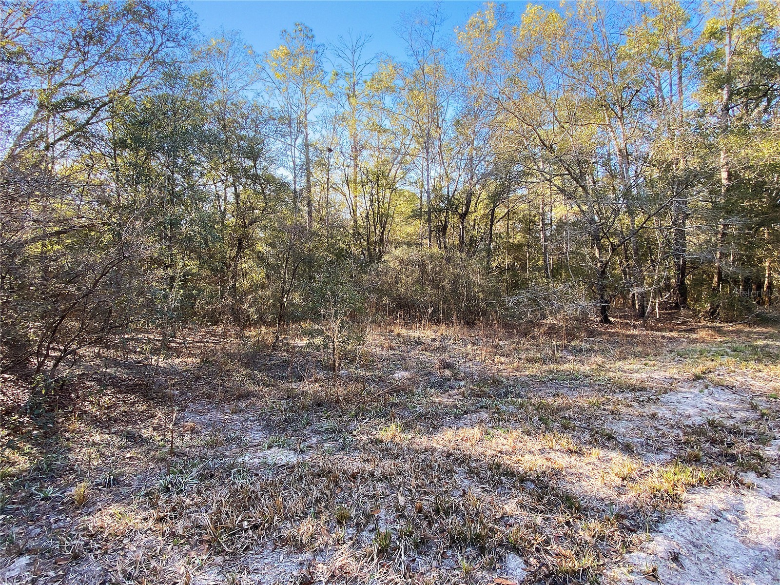 Sw Buffalo Ct Fort White FL 32038 GC538184 image6