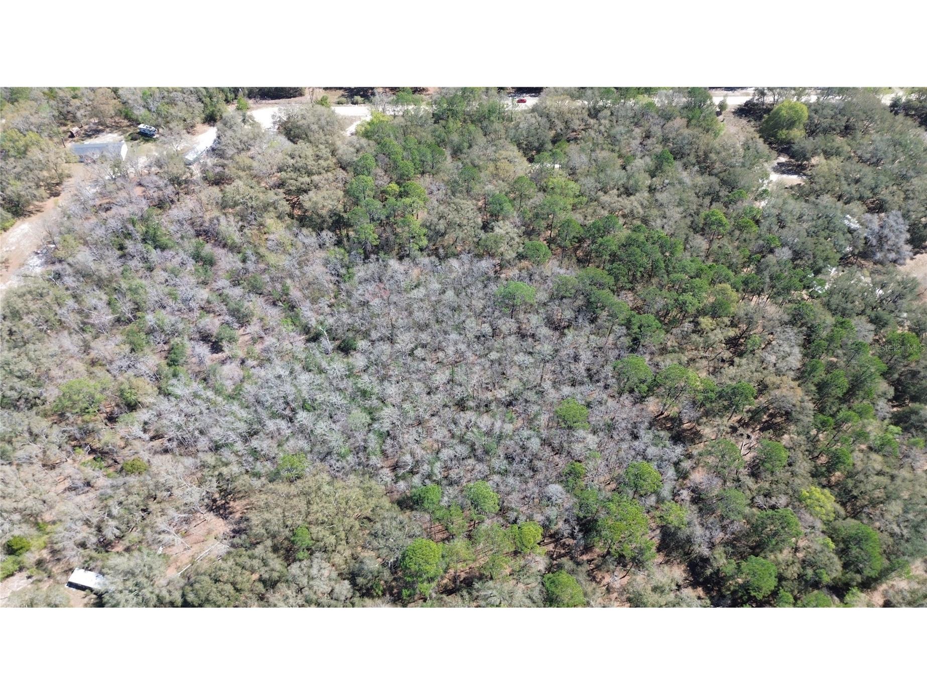 Sw Buffalo Ct Fort White FL 32038 GC538184 image8