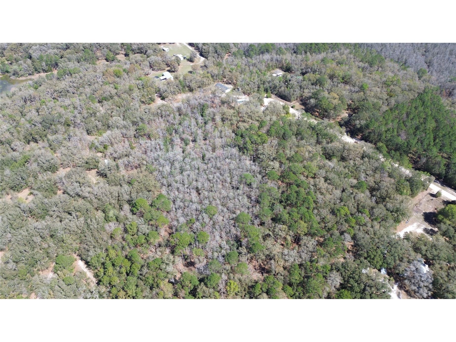 Sw Buffalo Ct Fort White FL 32038 GC538184 image9