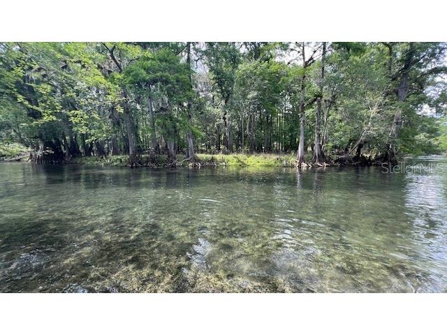 SW Bumble Street Fort White FL 32038 GC540664 image10