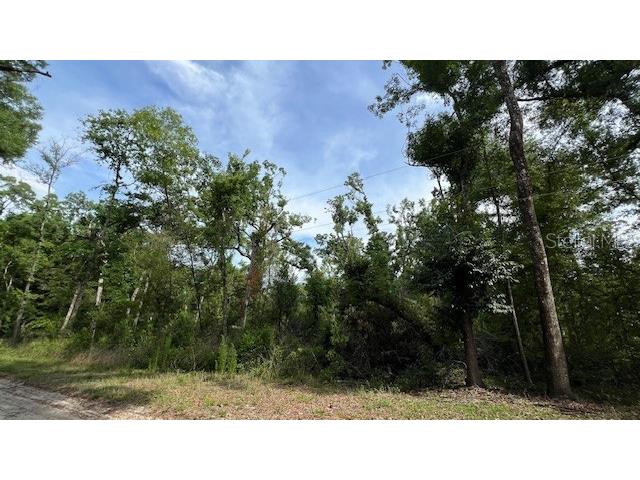 SW Bumble Street Fort White FL 32038 GC540664 image2