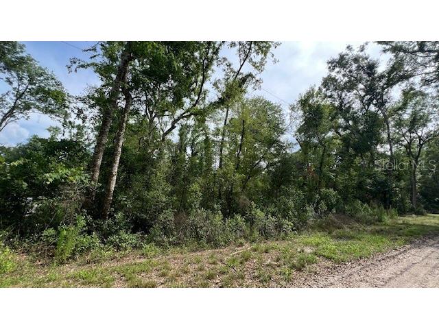 SW Bumble Street Fort White FL 32038 GC540664 image3