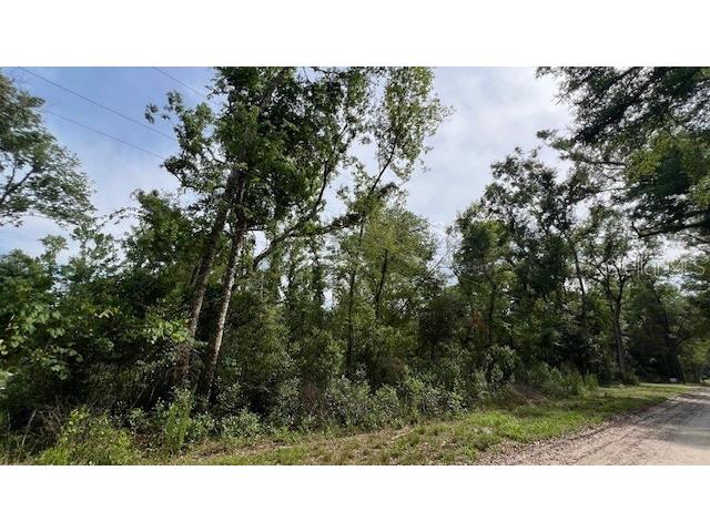 SW Bumble Street Fort White FL 32038 GC540664 image4