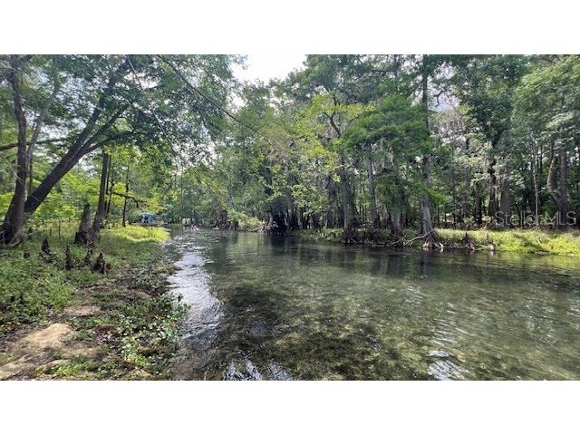 SW Bumble Street Fort White FL 32038 GC540664 image9