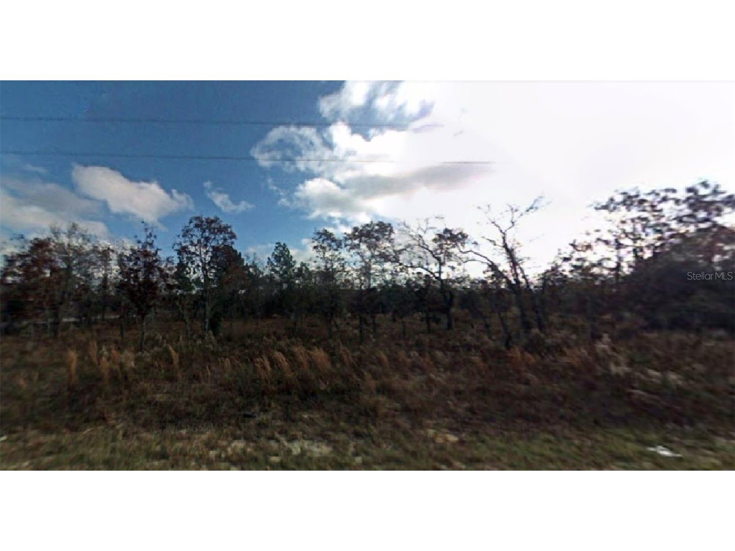 SW Viburnum Road Dunnellon FL 34431 O6108403 image1