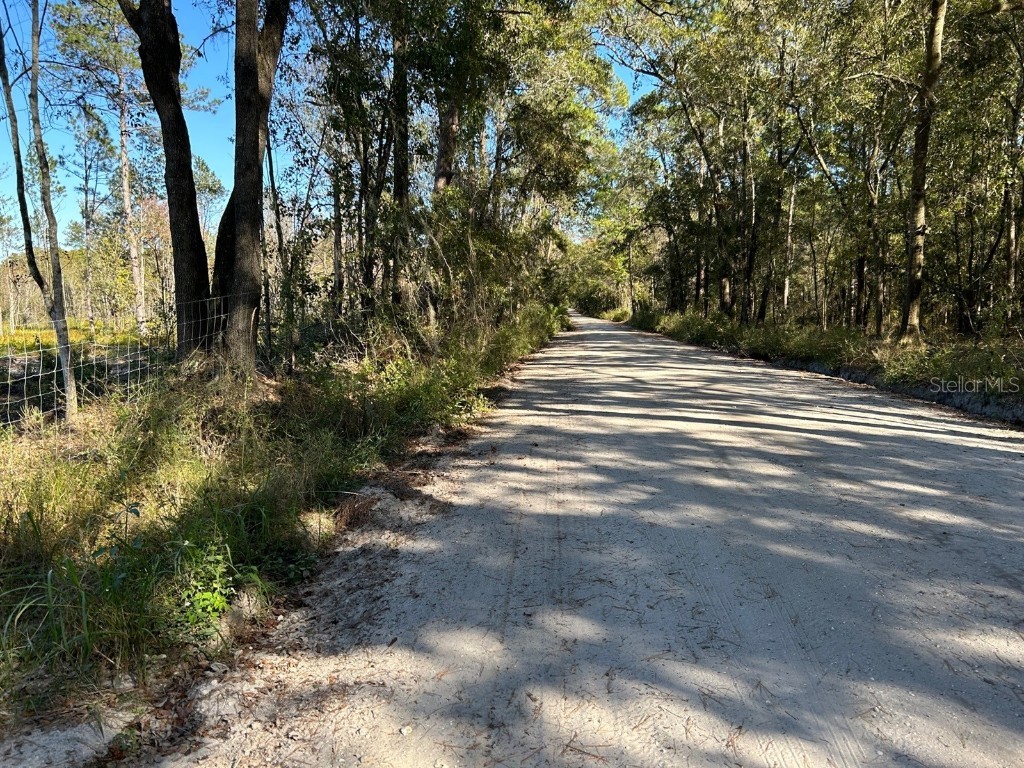 SW Catherine Lane Lake City FL 32025 GC517321 image1