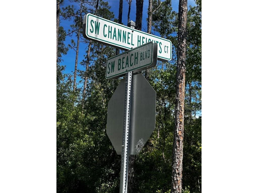 Sw Channel Heights Ct Dunnellon FL 34431 OM690181 image1