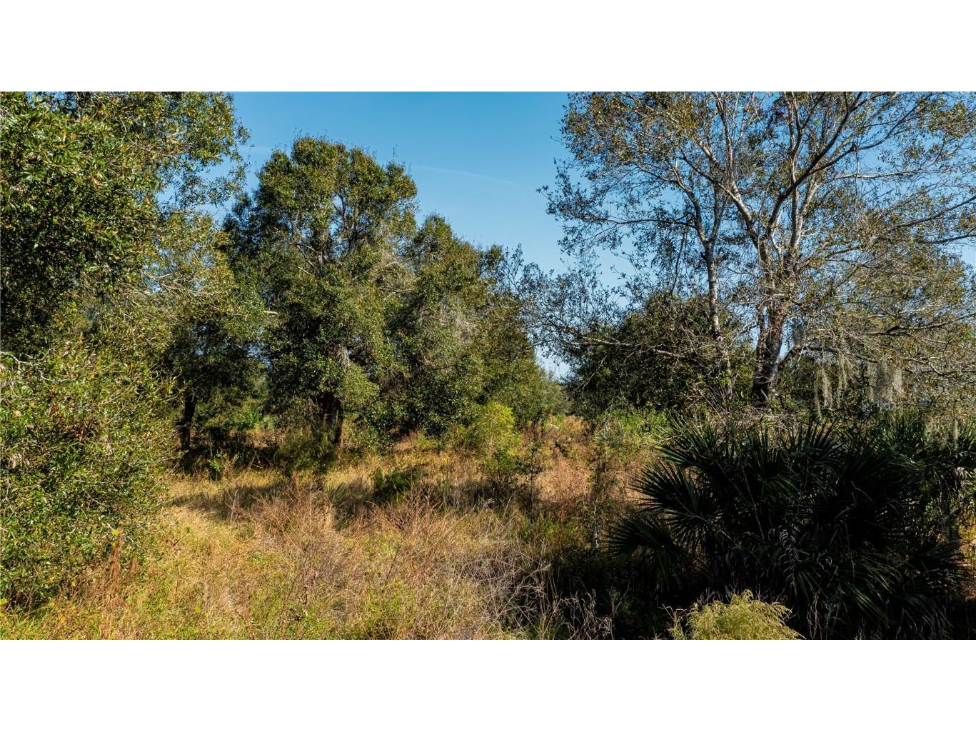 Sw Co Rd 760a Arcadia FL 34266 A4673399 image12