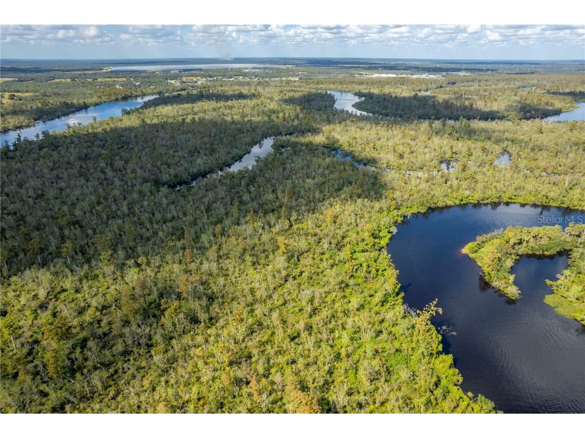 SW Co Road 761 #A Arcadia FL 34269 C7483989 image8