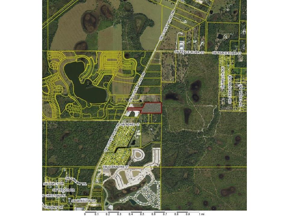 SW Co Road 769 Arcadia FL 34269 C7482255 image1