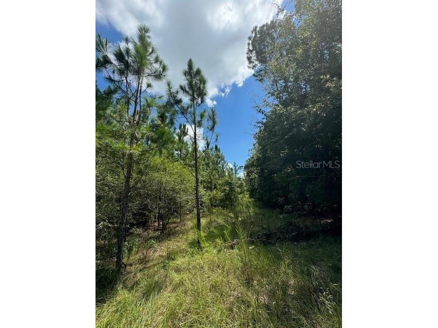 SW Coles Court Fort White FL 32038 G5101028 image11